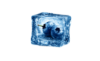 Blueberry vector image

